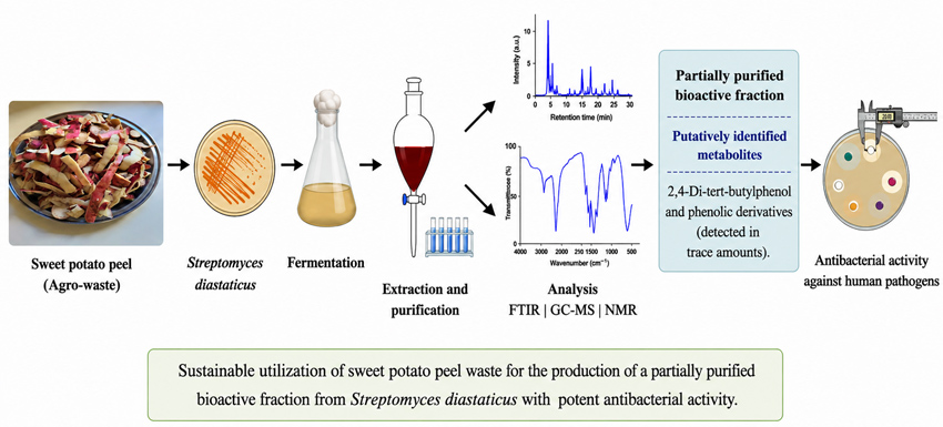 Graphical Abstract